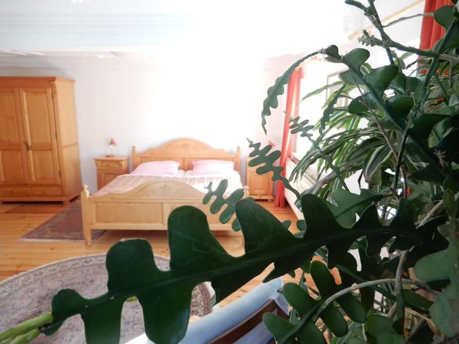 Laendliches Wohnen Zwischen Erfurt Und Gotha Appartement Buitenkant foto